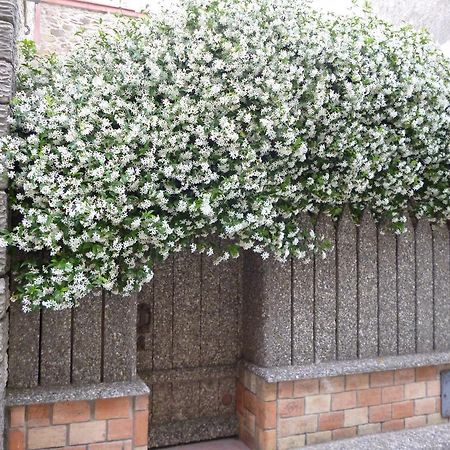 Chambres D'Hotes La Rose Des Vents Ginestas Exterior foto